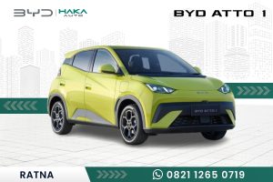 BYD ATTO 1