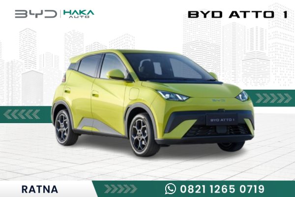 BYD ATTO 1