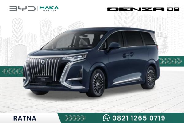 BYD DENZA D9