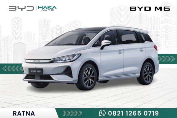 BYD M6